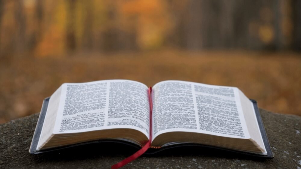 rgrg333333biblia