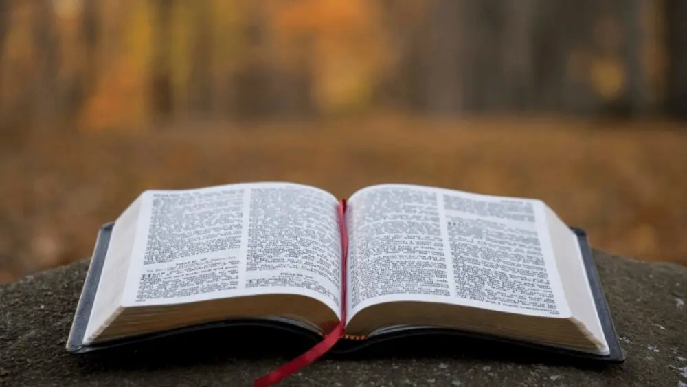 rgrg333333biblia