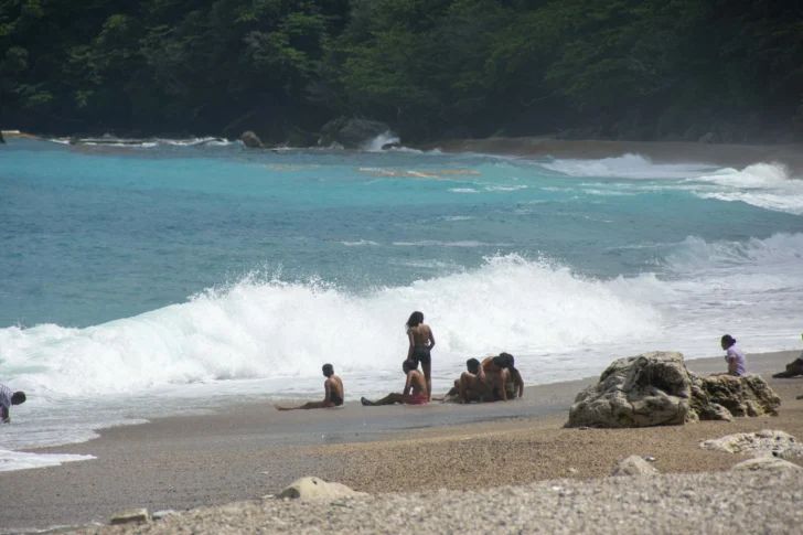 DSC_0640-728x485