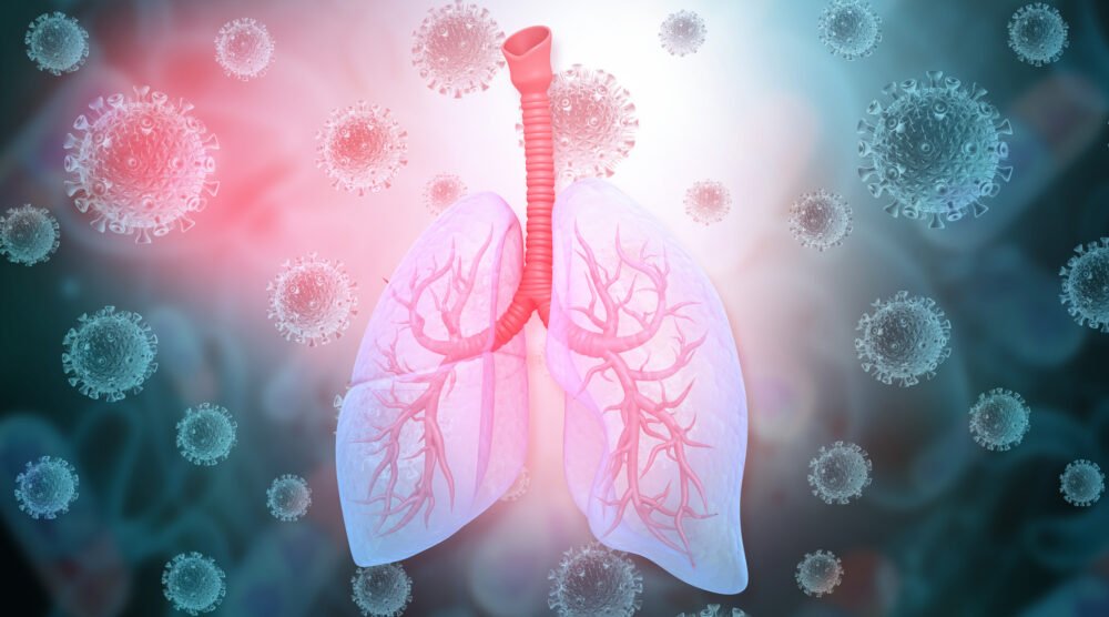 Human lungs anatomy on coronavirus background. 3d illustration