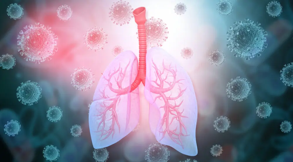 Human lungs anatomy on coronavirus background. 3d illustration